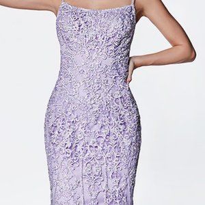 long cinderella dresses